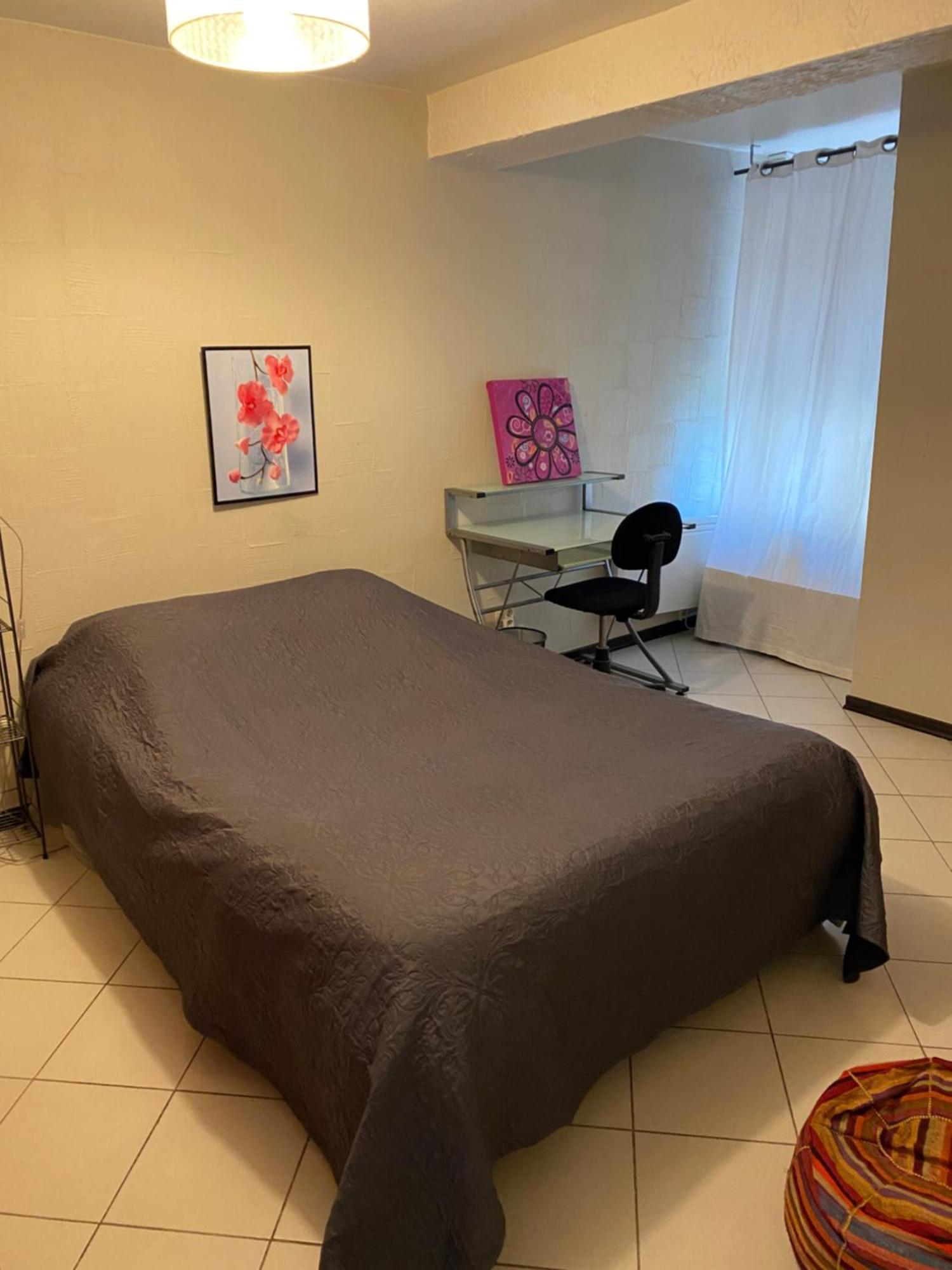 Petit Cocon Appartement